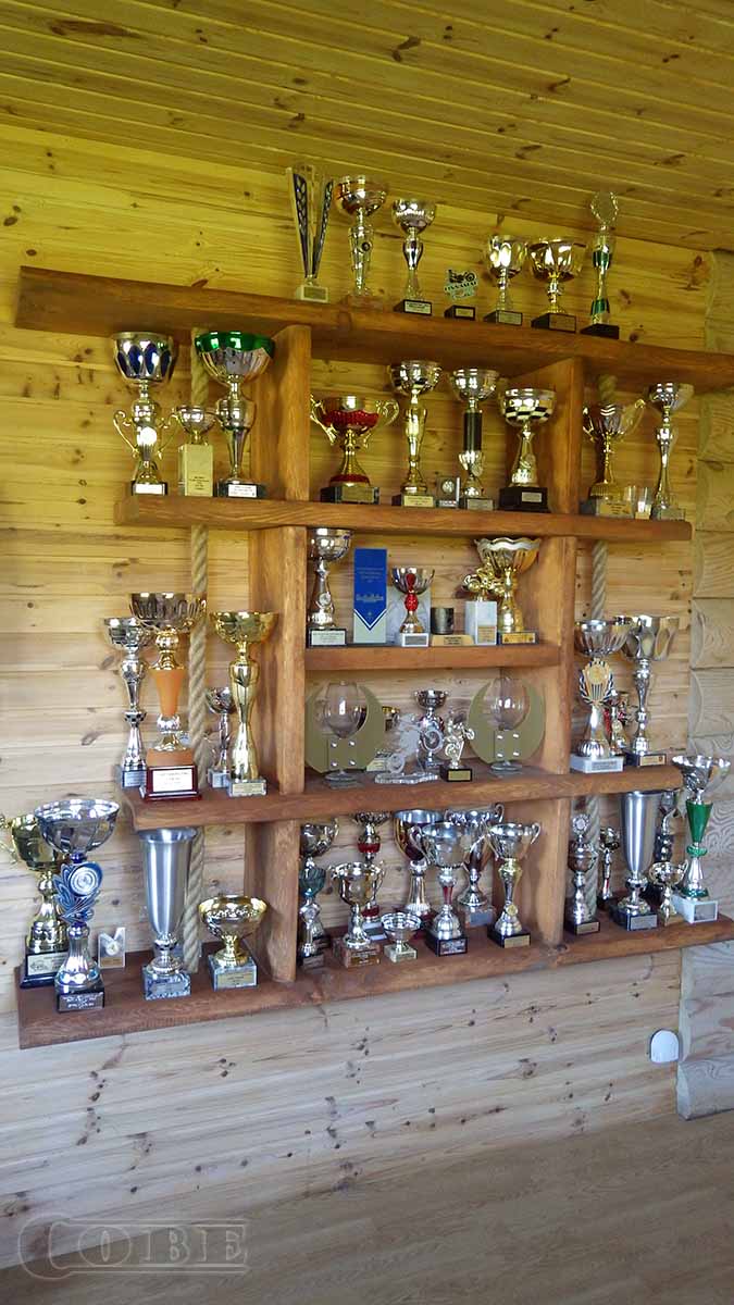 Trofee-riiul karikariiul Täispuit seina riiul puidust riiulid puitmööbel massiiv puit seina-riiul